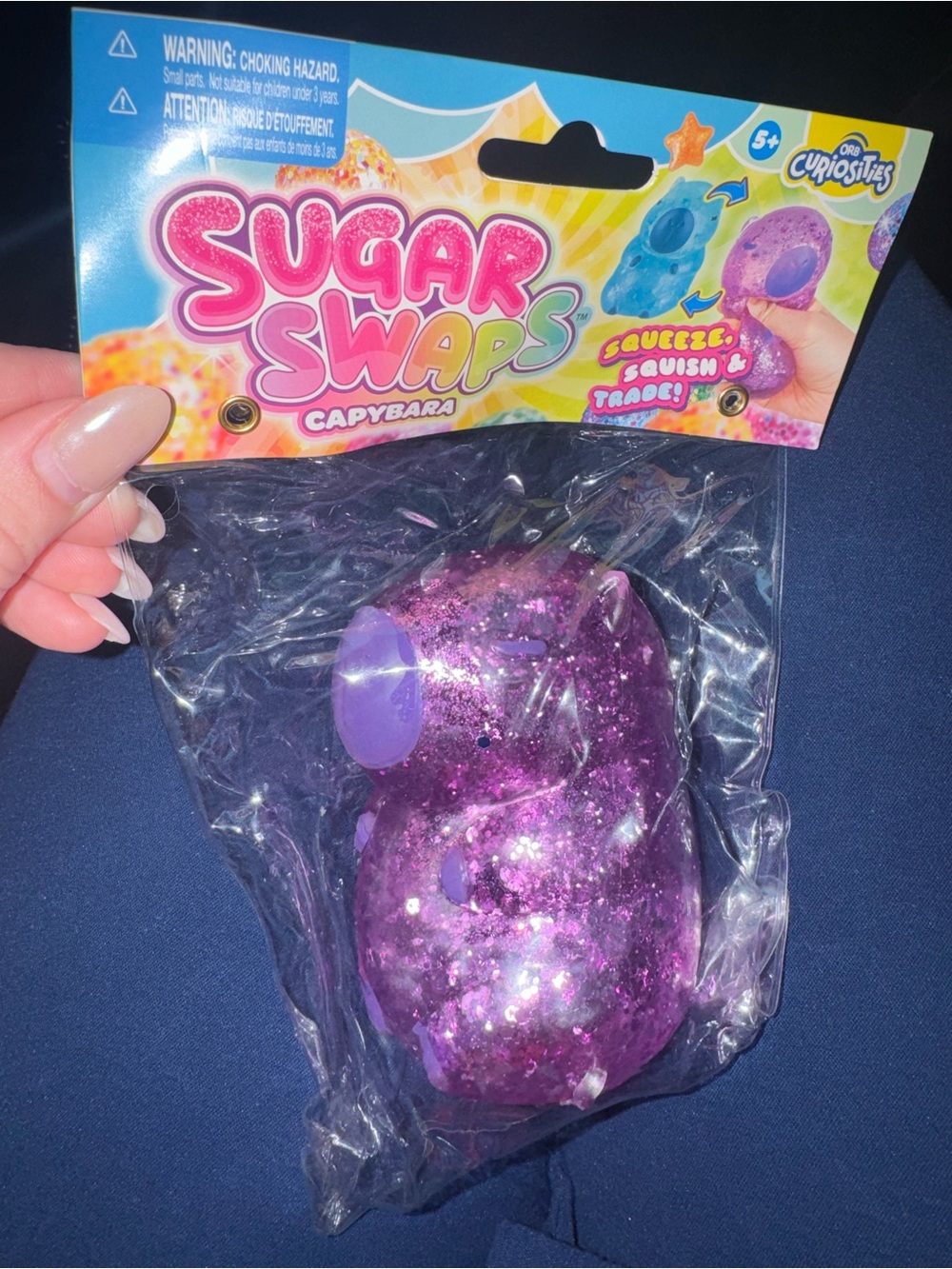 Sugar Swaps Capybara Glitter Squishy Toy - Purple